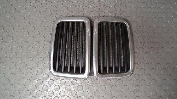 Foto: NIEREN KÜHLERGRILL eines BMW 520i Edition