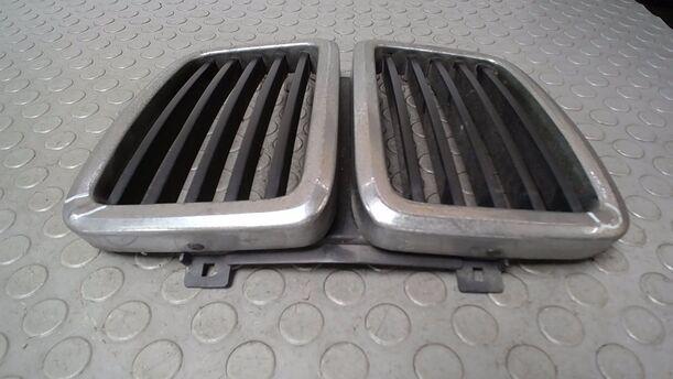 Foto: NIEREN KÜHLERGRILL eines BMW 520i Edition