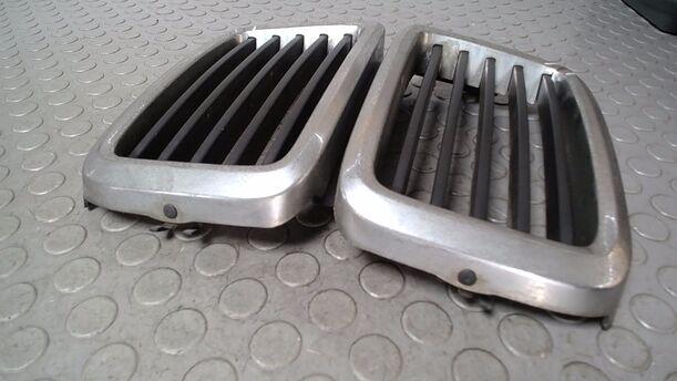 Foto: NIEREN KÜHLERGRILL eines BMW 520i Edition