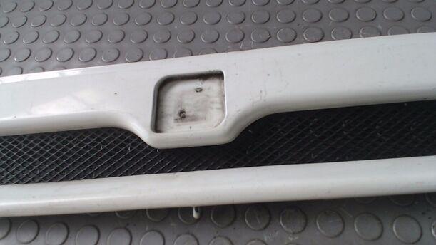Foto: KÜHLERGRILL eines Seat Ibiza Special