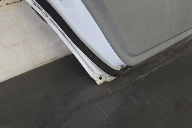 Foto: TÜR HINTEN LINKS eines Mercedes-Benz 230 E