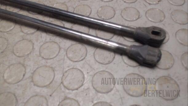 Foto: HECKKLAPPENDÄMPFERPAAR eines Renault Safrane V6i (RT)