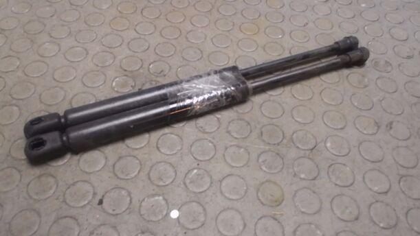 Foto: HECKKLAPPENDäMPFERPAAR eines Rover 75 2.0 V6