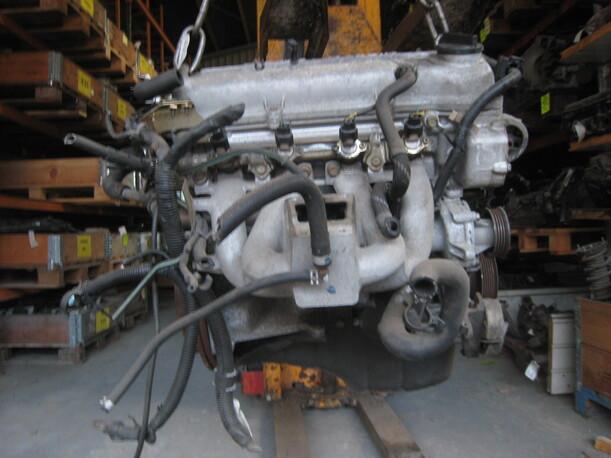 Foto: MOTOR CG10 eines Nissan Micra Exclusive