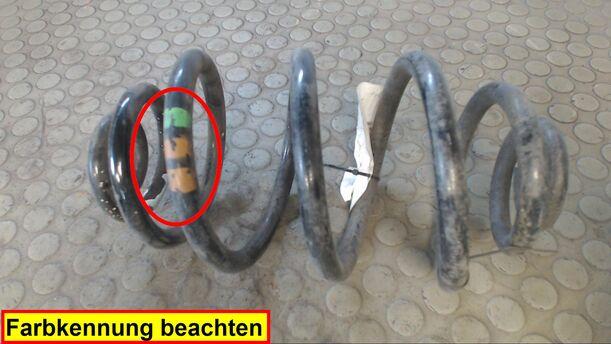 Foto: FEDER HINTEN RECHTS eines VW Passat Variant 1.9 TDI