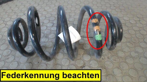 Foto: HINTERFEDER RECHTS eines VW Passat Variant 1.9 TDI