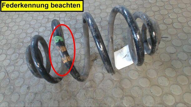 Foto: FEDER HINTEN LINKS eines VW Passat Variant 1.8 5V SX