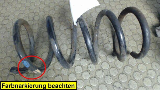 Foto: HINTERFEDER LINKS eines Ford Scorpio Turnier