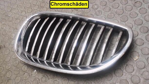 Foto: KÜHLERGRILL LINKS eines BMW 530d