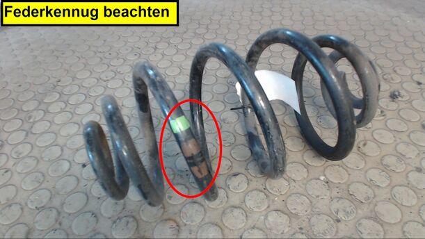 Foto: HINTERFEDER LINKS eines VW Passat Variant 1.9 TDI S