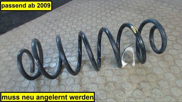 Foto: HINTERFEDER LINKS eines Ford Fusion 1.4