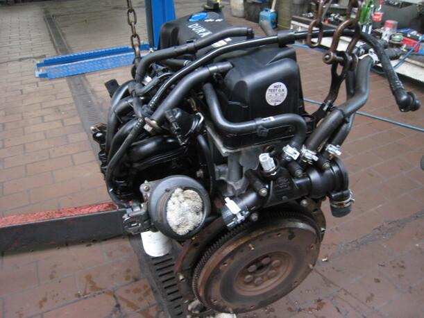 Foto: MOTOR BAA eines Ford Ka