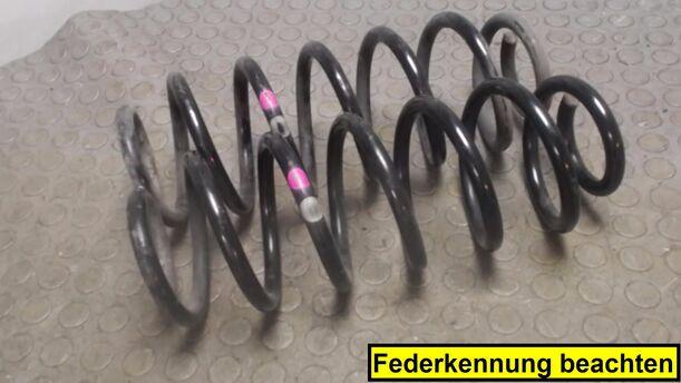 Foto: HINTERFEDERPAAR eines Audi TT Coupe 1.8 T