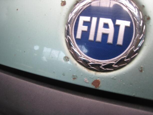 Foto: MOTORHAUBE eines Fiat Punto 1.2