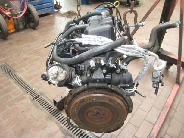 Foto: MOTOR BAA (UNGEPRÜFT) eines Ford Ka