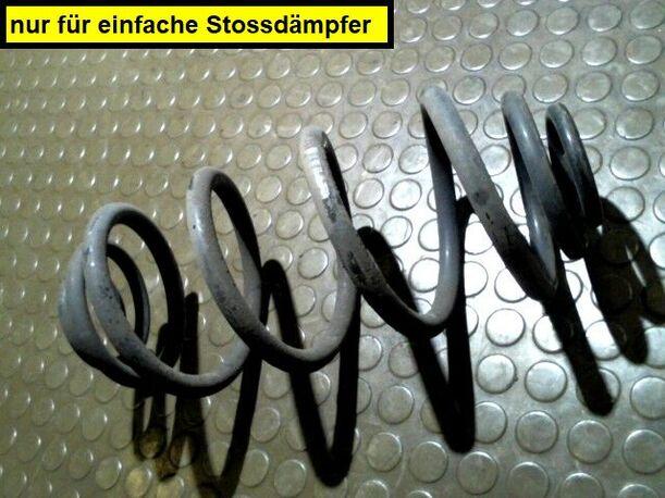 Foto: HINTERFEDER LINKS eines Opel Signum 2.2 Club