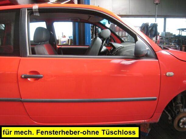Foto: TÜR RECHTS eines VW Lupo 1.4 CD