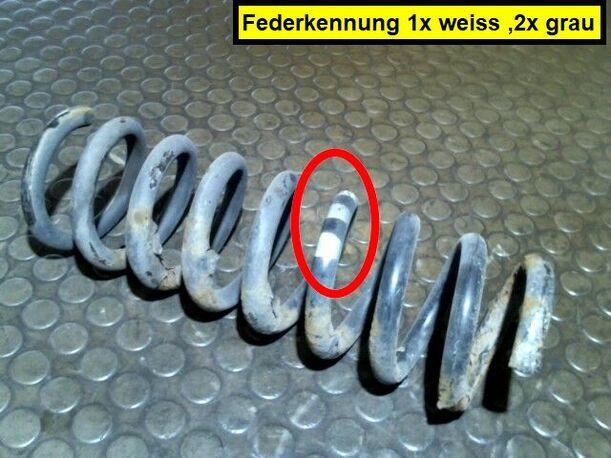 Foto: HINTERFEDER LINKS eines Mercedes-Benz E 240 T