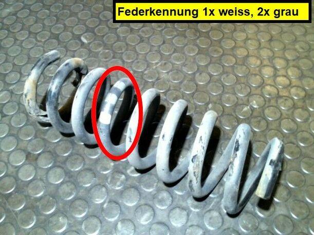 Foto: HINTERFEDER RECHTS eines Mercedes-Benz E 240 T