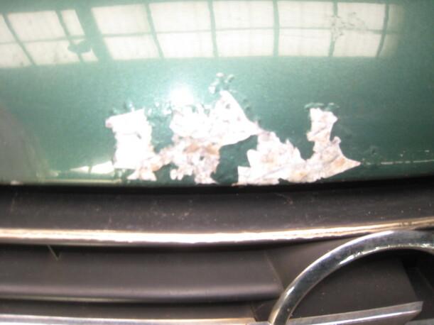 Foto: MOTORHAUBE eines Opel Sintra 2.2 DTi