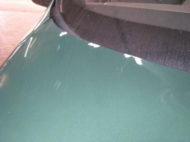 Foto: MOTORHAUBE eines Opel Sintra 2.2 DTi