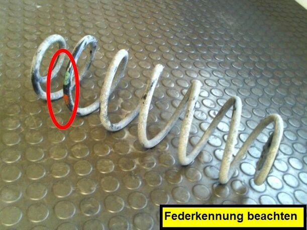 Foto: HINTERFEDER RECHTS eines Ford Fiesta 1.4