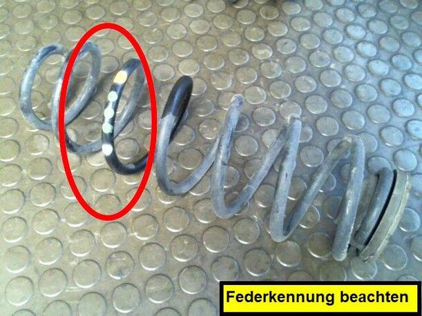 Foto: HINTERFEDER LINKS eines Seat Ibiza 1.2 12V