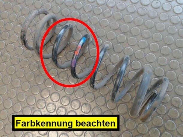 Foto: HINTERFEDER LINKS eines Ford Focus DI