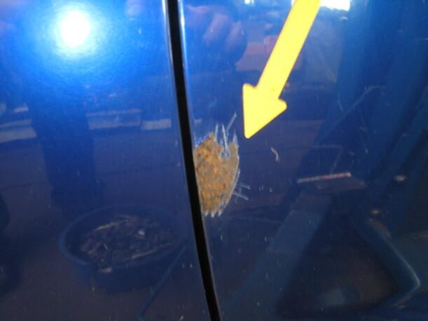 Foto: TÜR VORNE LINKS eines Ford Puma Sunnyboy