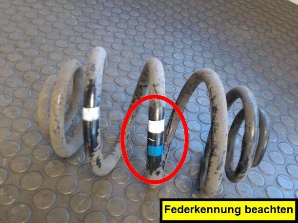 Foto: HINTERFEDER LINKS eines BMW 316i Sunnyboy