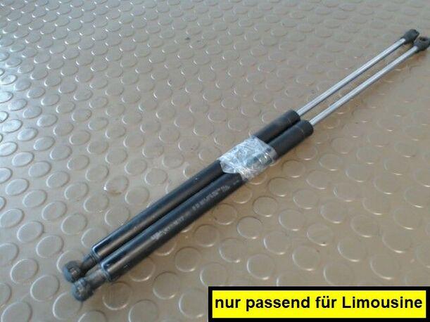 Foto: HECKKLAPPENDÄMPFERPAAR eines Renault Laguna 1.9 dCi Sunnyboy