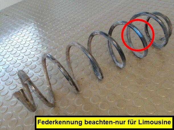 Foto: HINTERFEDER LINKS eines Renault Laguna 1.9 dCi Sunnyboy