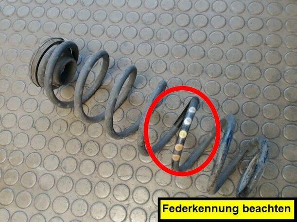 Foto: HINTERFEDER RECHTS eines Seat Ibiza 1.4 16V