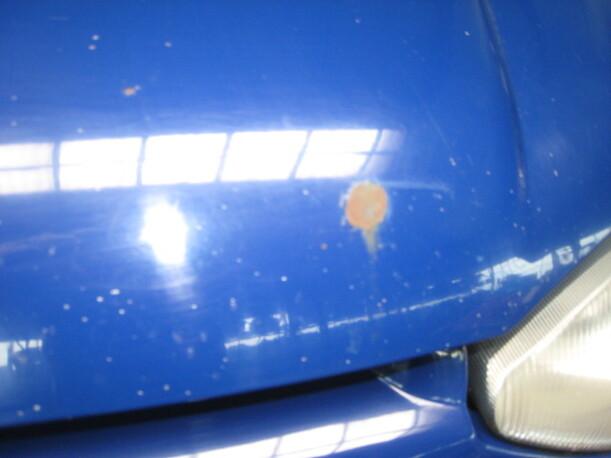 Foto: MOTORHAUBE eines Fiat Palio Weekend 75