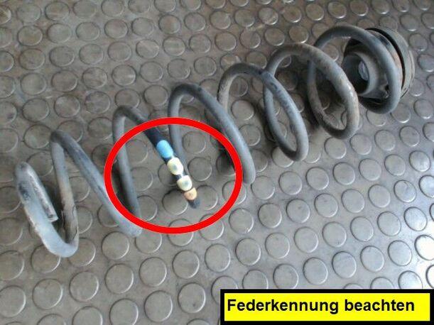 Foto: HINTERFEDER LINKS eines VW Polo 1.4 TDI Sunnyboy