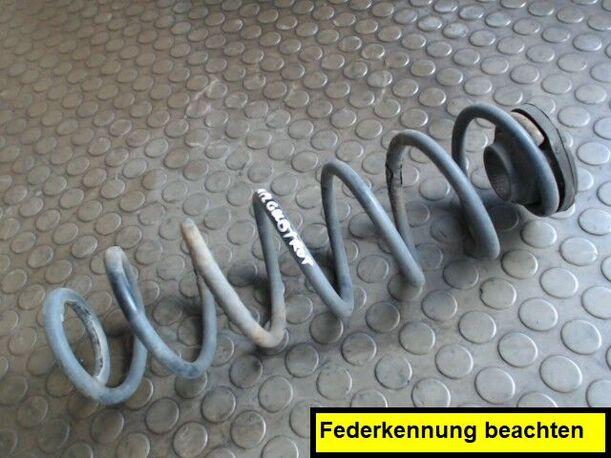 Foto: HINTERFEDER RECHTS eines VW Polo 1.4 TDI Sunnyboy