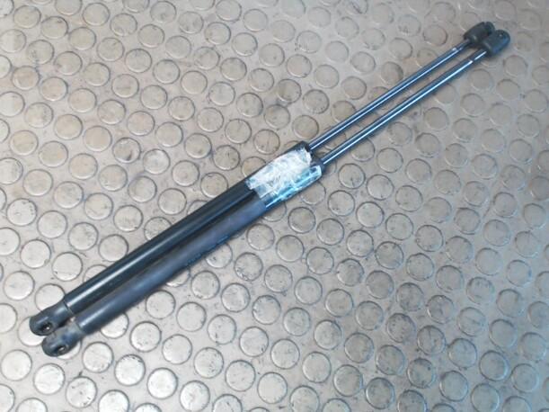 Foto: HECKKLAPPENDÄMPFERPAAR eines Ford Focus 1.6 16V CD
