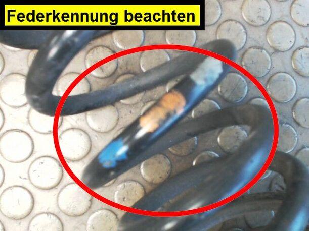 Foto: HINTERFEDER RECHTS eines Ford Focus Turnier DI