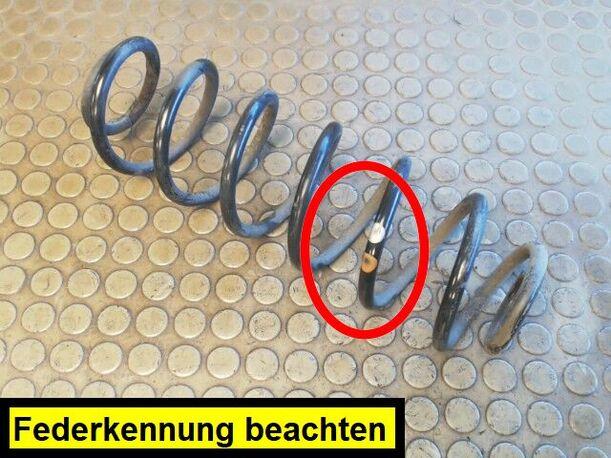 Foto: HINTERFEDER LINKS eines Audi A3 1.6