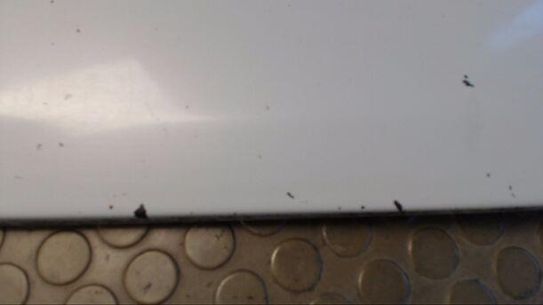 Foto: VERPLANKUNG KOTFLÜGEL RECHTS eines Mercedes-Benz 200 E