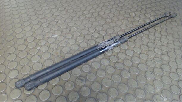 Foto: HECKKLAPPENDÄMPFERPAAR eines Ford Focus Turnier 2.0 TDCi DPF