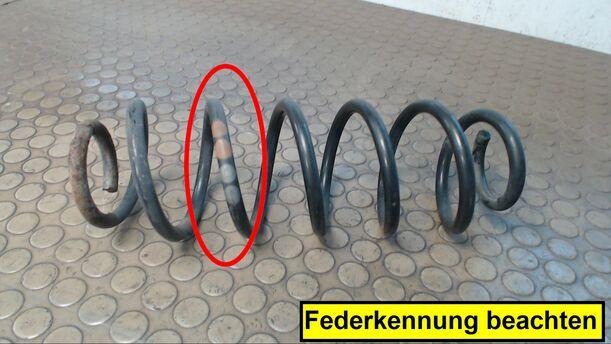 Foto: HINTERFEDER RECHTS eines Seat Leon 1.9 TDI