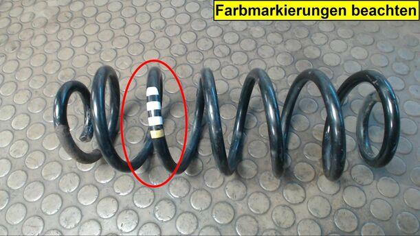 Foto: HINTERFEDER RECHTS eines Audi A3 1.9 TDI