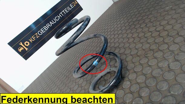 Foto: HINTERFEDER LINKS eines Renault Twingo 1.2