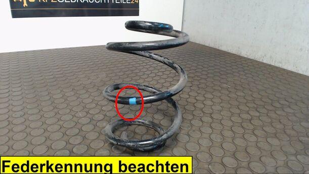 Foto: HINTERFEDER RECHTS eines Renault Twingo 1.2