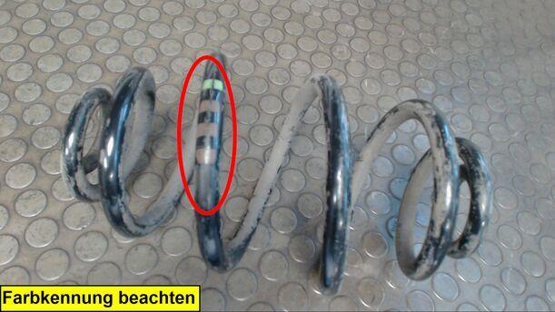 Foto: HINTERFEDER RECHTS eines VW Passat Variant 1.9 TDI