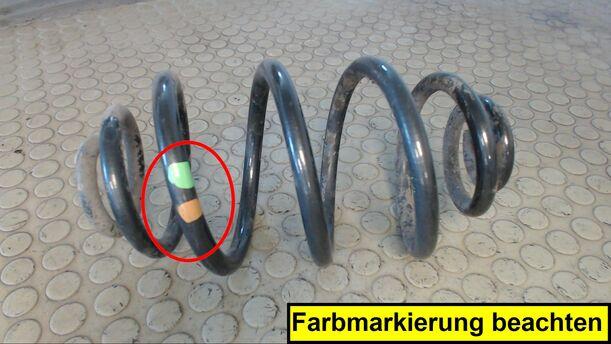 Foto: HINTERFEDER LINKS eines VW Passat 1.6