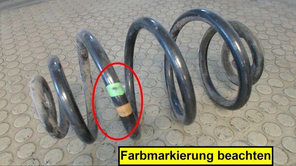 Foto: HINTERFEDER RECHTS eines VW Passat 1.6