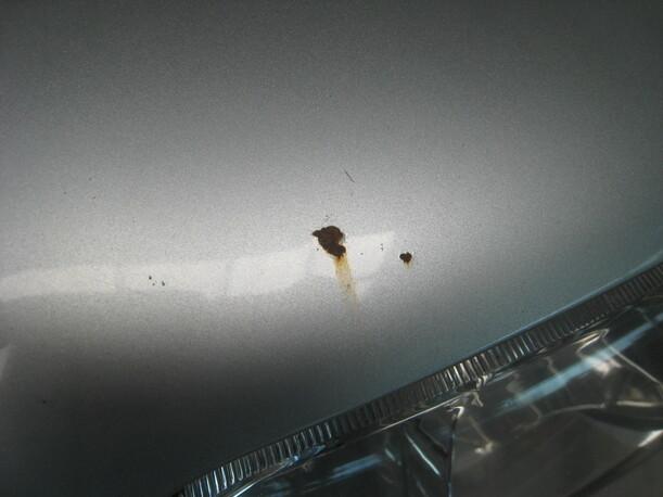 Foto: DECKEL VORN eines VW Polo