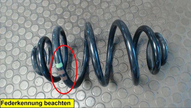 Foto: HINTERFEDER LINKS eines Skoda Superb 1,9 TDI GL